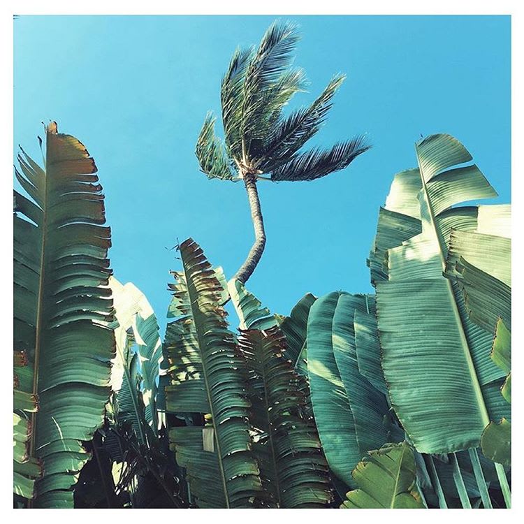 Rinikini – Designer Crochet Bikinis