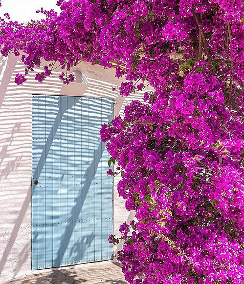 Rinikini – Designer Crochet Bikinis